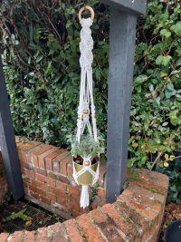 Macrame Plant Hanger hanging in a garden